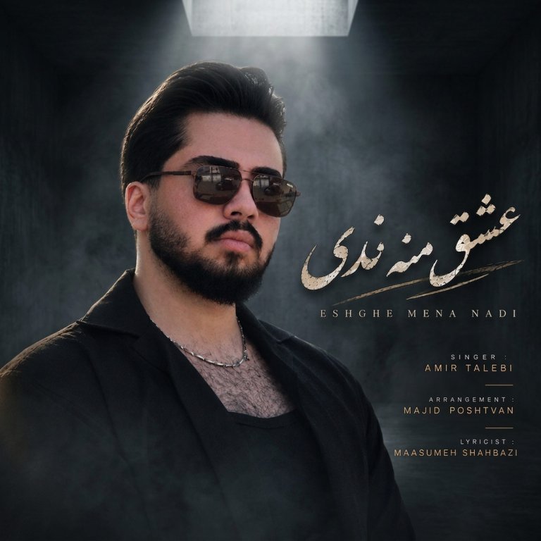 دانلود آهنگ عشق منه ندی(عشق منو ندید) از امیر طالبی
